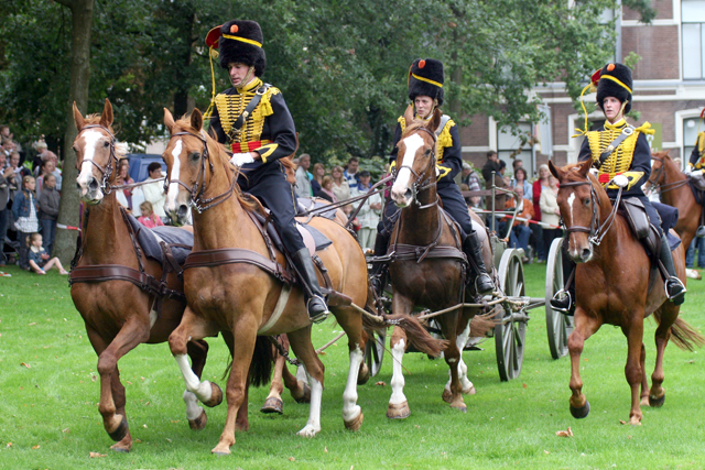 Hanzefestival 2009 5394