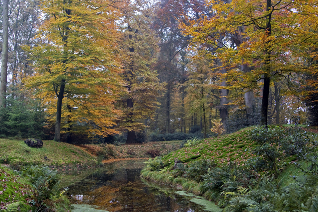 Herfstkleuren op Landgoed Boschwijk 6269