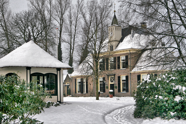 Winter Boschwijk 9135 640