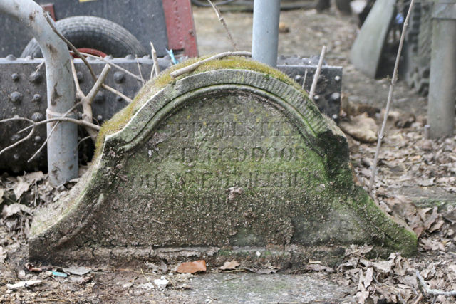 Gevelsteen Roodhuizerpad 7V6A2990