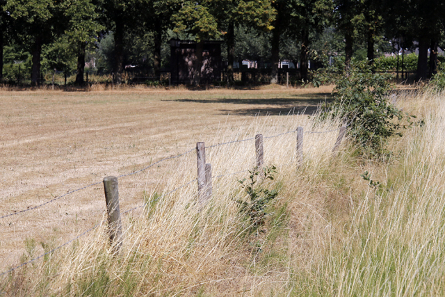 Droogte 2018 Weilanden 05082018 9950