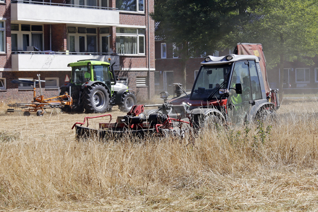 Groen Zwolle Droogte 2018 Grasmaaien 0311