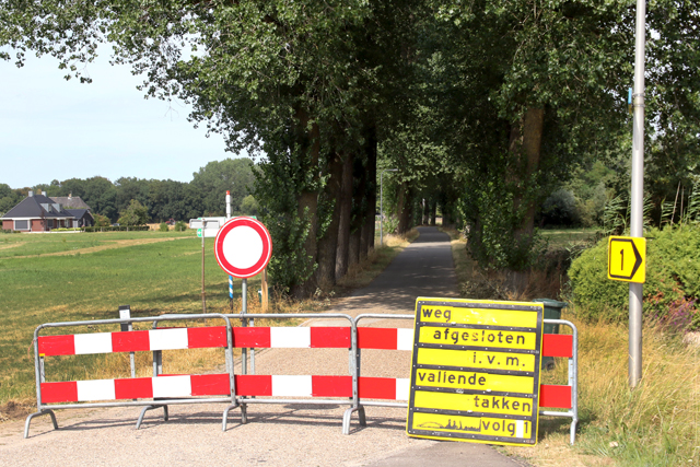 Groen Zwolle Droogte 2018 Schellerenkweg 7V6A7292