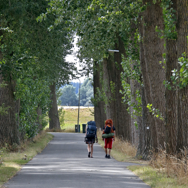 Groen Zwolle Droogte 2018 Schellerenkweg 9073