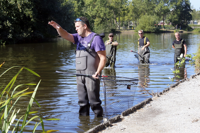 Groen Zwolle Vissterfte Dobbe 06082018 0137