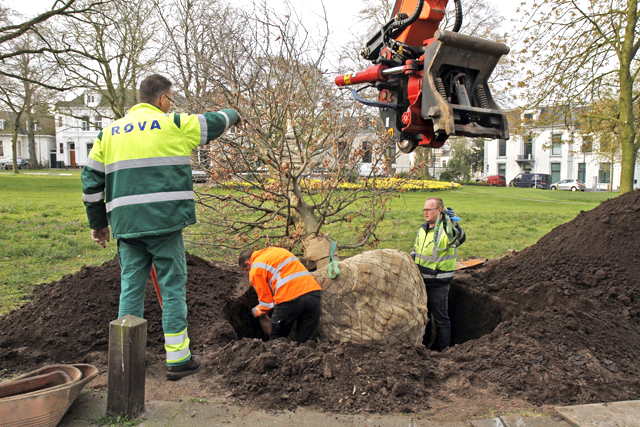 Planten nieuwe beuk Van Nahuijsplein 2015 0872