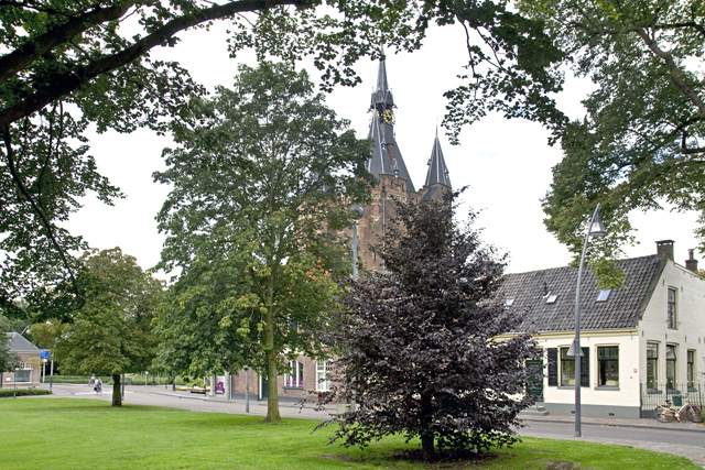 w Nieuwe beuk september 2015 4940