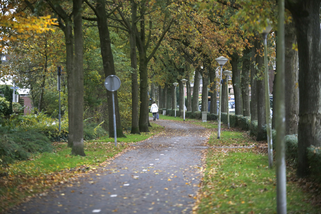 Westenholte Steenboerweg 14112017 4616