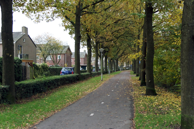 Westenholte Steenboerweg 14112017 7V6A4367