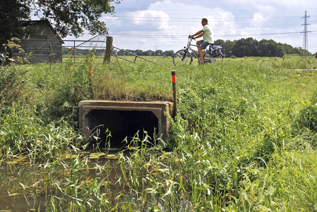 Westerveldse Aa 1 Oudeweg Zalne 2014 4495