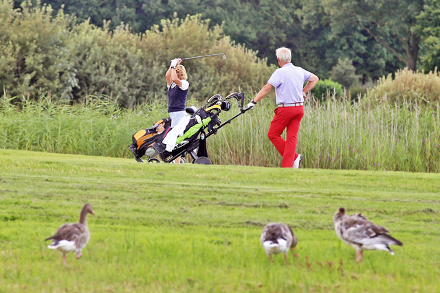 Westerveldse Aa 3b Golfbaan 2014 4419