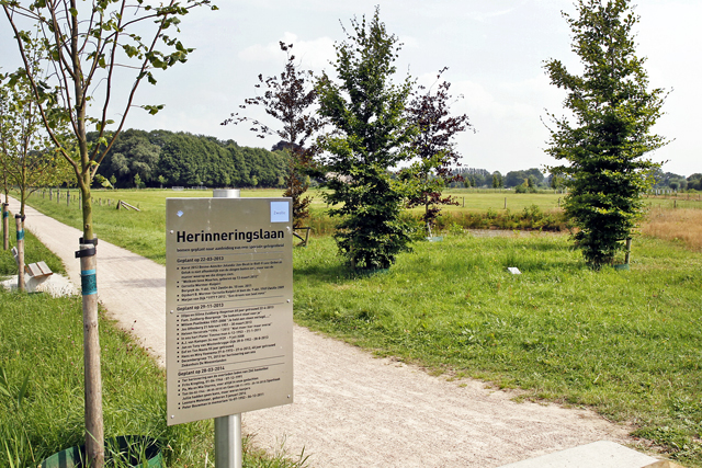 Westerveldse Aa 4 Berkum Herinneringslaan 2014 3537