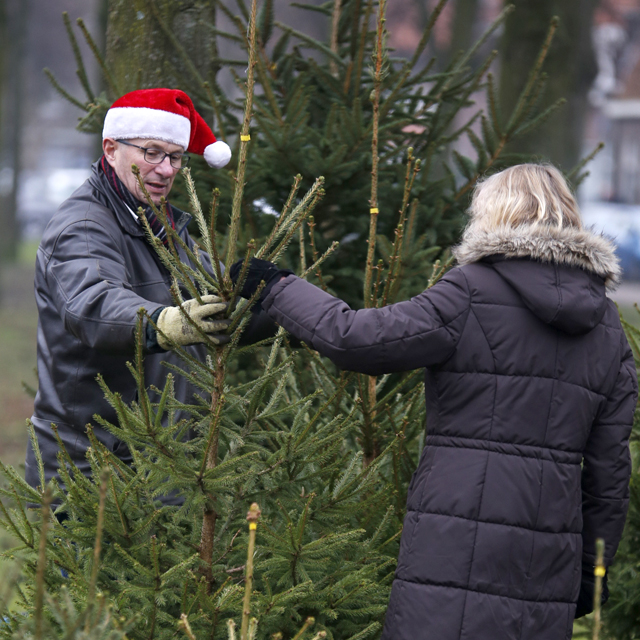 Kerstbomenverkoper Hanekamp 2016 2255
