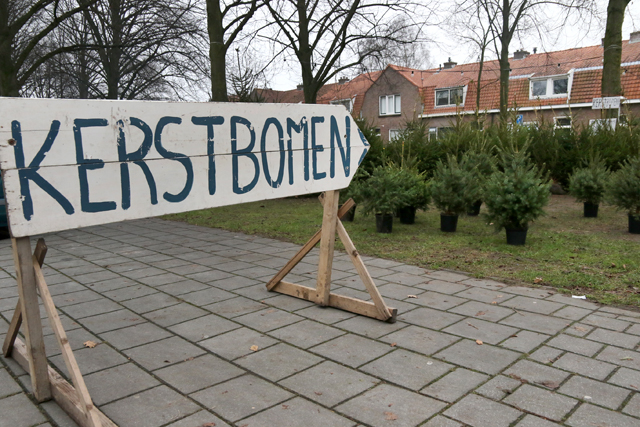 Kerstbomenverkoper Hanekamp 2016 7V6A0096