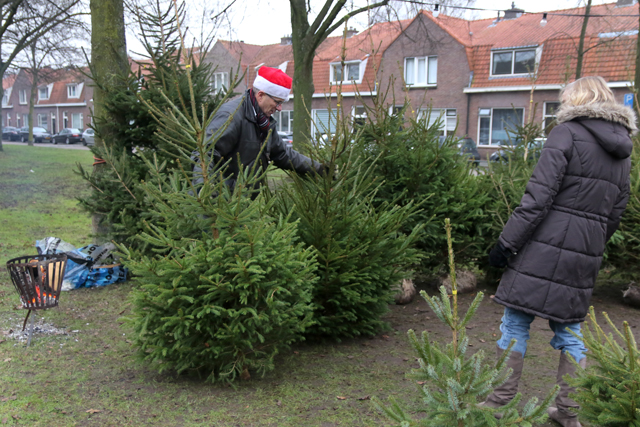 Kerstbomenverkoper Hanekamp 2016 7V6A0122