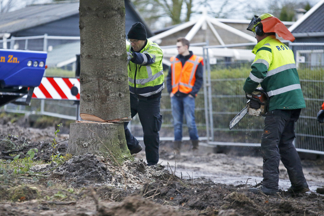 Kap Stadskerstboom 05122017 5907