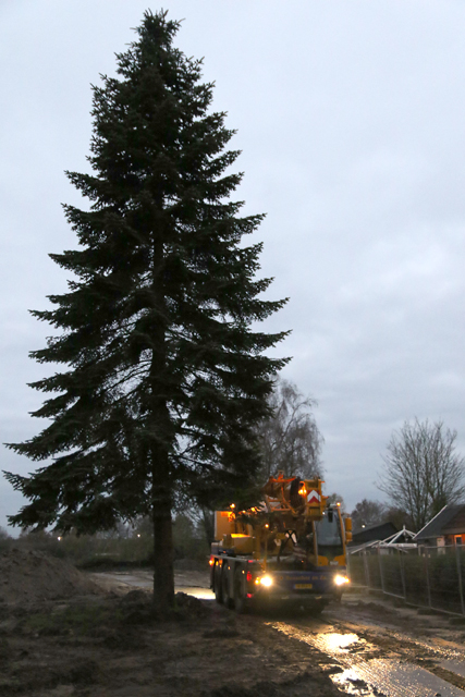 Kap Stadskerstboom 05122017 7V6A2591