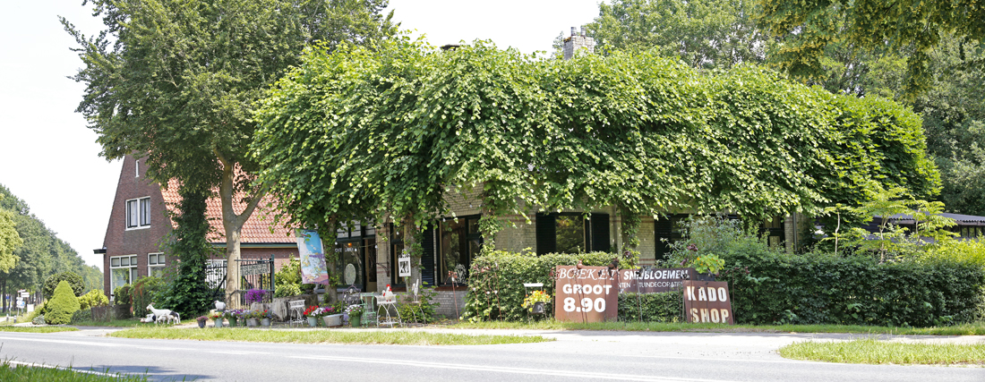 Wijthmen Brocanterie 07062018 3412 Pano