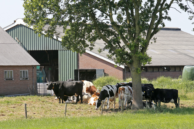 Wijthmen 07062018 3582