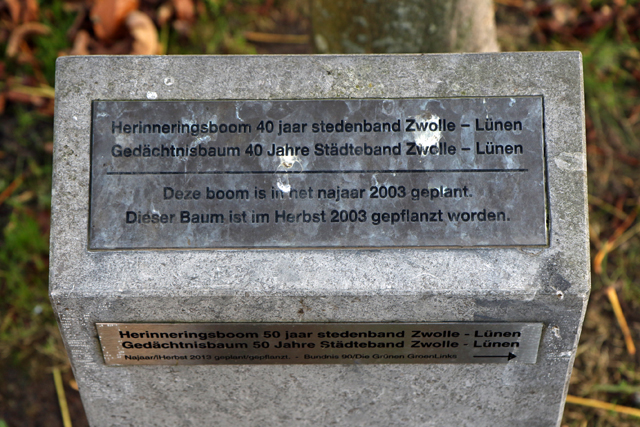 Herdenkingsboom 40 jaar Zwolle   Lunen 7V6A0735 640px