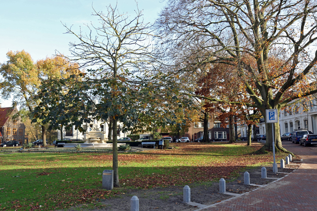 Herdenkingsboom 40 jaar Zwolle   Lunen 7V6A0740 640px