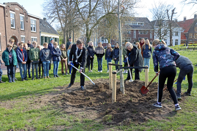 Planten Anne Frankboom  14042021 5414 640px
