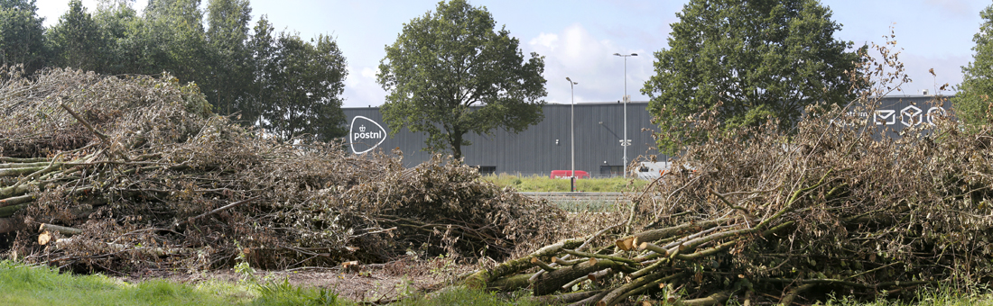 DFietsbrug Heinoseweg 19082017 5884 Pano