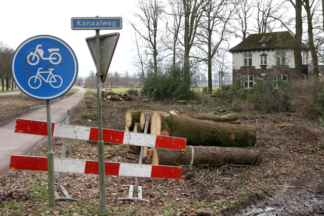 Heinoseweg Boomkap 06032017 7V6A3992