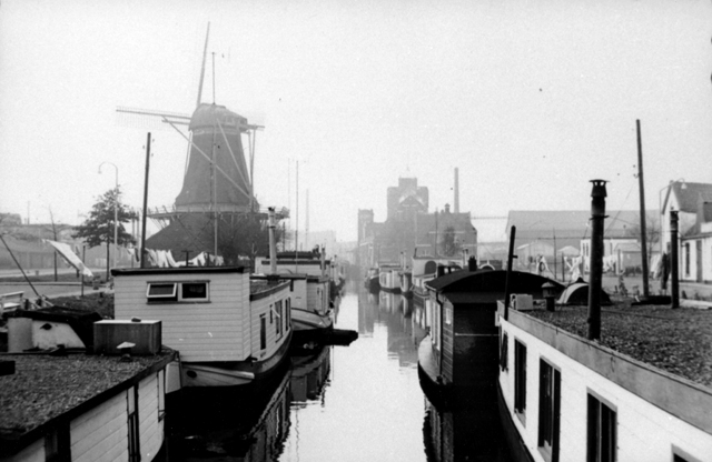 Passiebloem 1950 1965 NL ZlHCO 1214 FD034572
