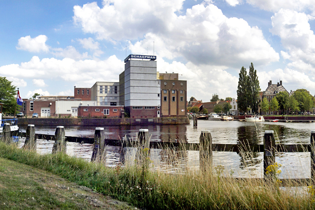 Schaepman 2010 3950