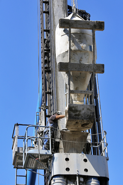 Kop van Hoog Heipalen 16072018 8660