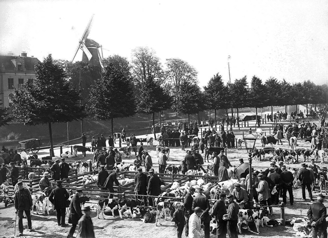 Harm Smeengekade Beestenmarkt 1895 NL ZlHCO 1214 FD11 096 640