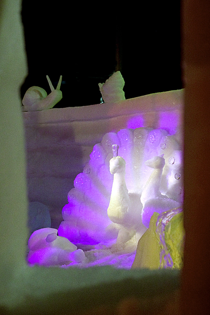 IJssculpturenfestival 2008 5102bew800