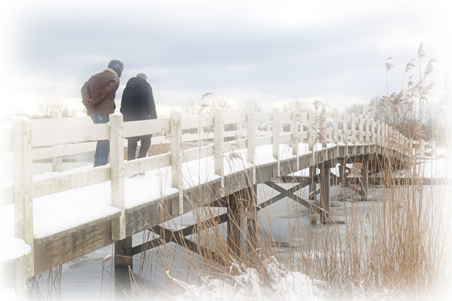 Omgeving Wijde AA 09022021 1447 640px