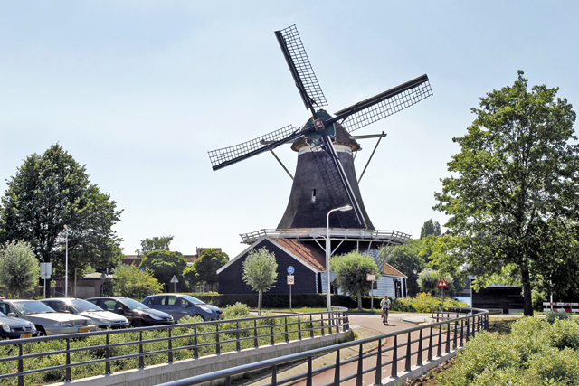 Zwolle Rouwt Passiebloem in rouwstand 2014 0770