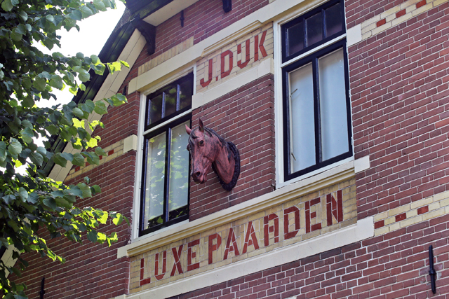 JDijk Luxe Paarden Meppelerstraatweg 5 0662